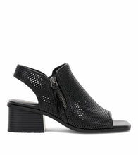 Load image into Gallery viewer, Frye and Co Women OASYS BLACK/NAPLES PU