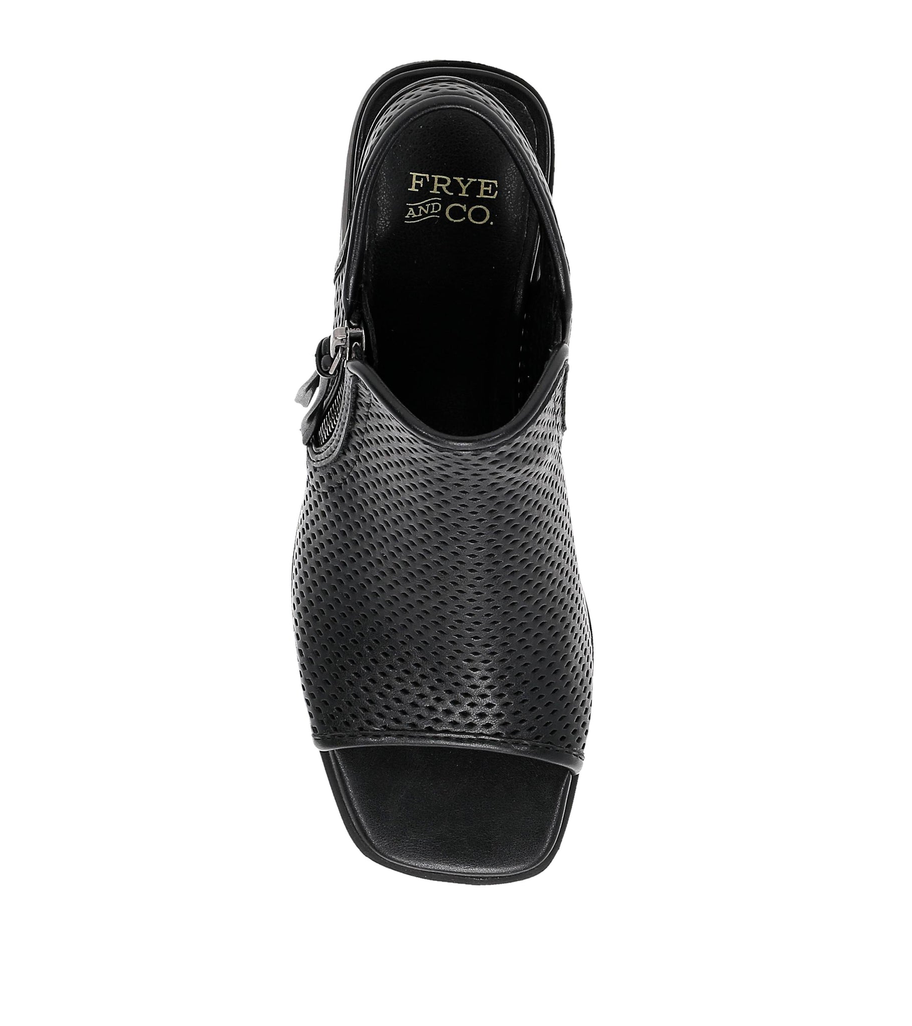 Frye and Co Women OASYS BLACK/NAPLES PU