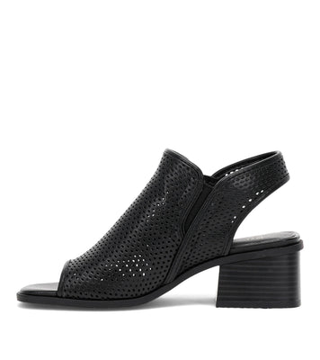 Frye and Co Women OASYS BLACK/NAPLES PU